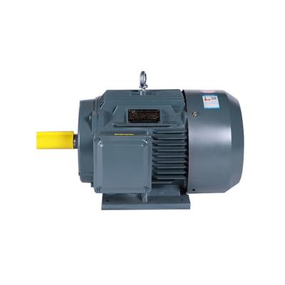 China YE2 Totally Enclosed 100hp / 75kw 3 Phase AC 220v / 380v Electric Motor Induction Motor for sale