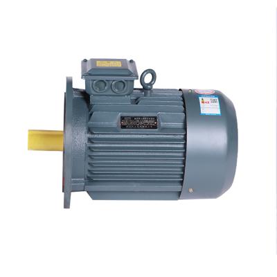 China high quality 3kw 960rpm YE2 132S-6 AC motor drip proof three phase electric water pump from China supplier for sale