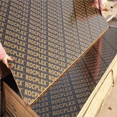 China Building Construction 8x4 Plywood Sheets, Concrete Plastic Shape PP Plywood Board For Slab Formwork And Wall Formwork for sale