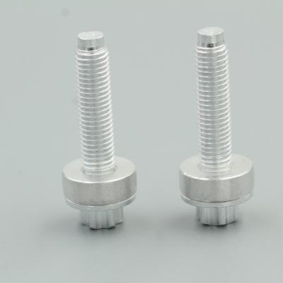 China Pan Custom Specialized Special Stainless Steel Metal Hex Large Head Screw for sale