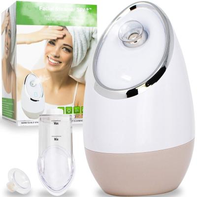 China Adjustable Nozzle DEEP CLEANSING Mini Nano Spray Facial Steamer High Quality Beauty Care for sale