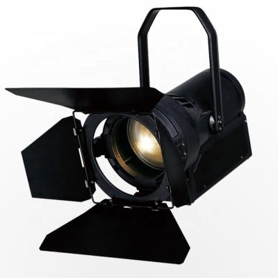 China Theater photography tv show 300w dmx movie shooting theater studio concert profile spot 200w video cob led fresnel light for sale