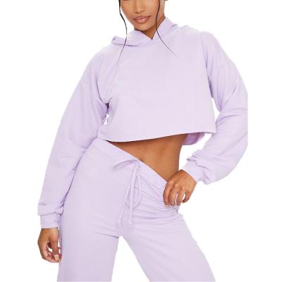 China Anti-wrinkle Pure Color Casual Lilac Light Weight Cropped Pullovers Single Hoodie Two Piece Sets For Women for sale