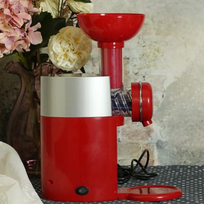 China RV Household Diy Ice Cream Machines High Quality Soft Serve Fruit Ice Cream Maker Machine for sale