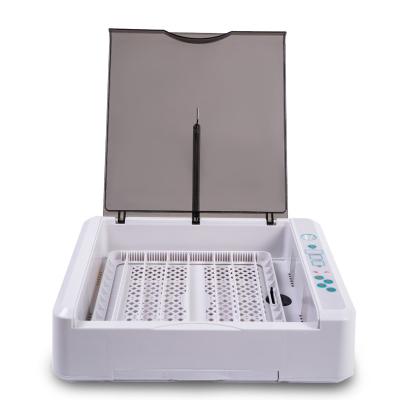 China Factory Small 36 Pcs Chicken Duck Brooder Automatic Eggs Incubator for sale