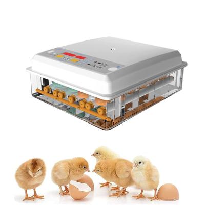 China Factory Full Automatic Multifunctional Smart Home Teaching Children Experiment Small 9 12 16 24 Egg Incubators for sale