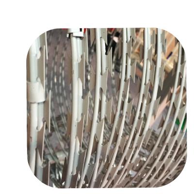 China Plain Weave Zhenyu Razor Barbed Wire Galvanized Stainless Steel Mesh For Military Prison Low Wall Animal Zoo for sale