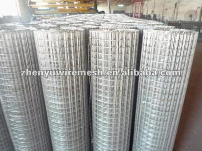 China 2214 Welded Wire Mesh (Factory) for sale