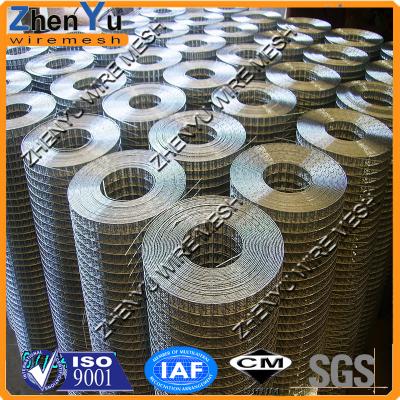 China 2016 Welded Wire Mesh 1x4 Inch Galvanized Welded Wire Mesh Fence (Factory, ISO Competitive Price) for sale