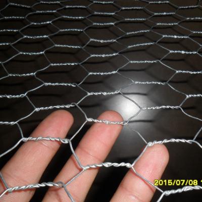 China Chicken Bird Aviary Iron Wire Mesh /warming Rack / Duck Gabions Consultancy Fencing Gabion From /Germany To Australia And Kenya for sale