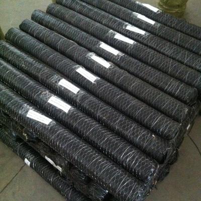 China Gabions Wire Mesh Chicken Birds /warming Rack / Duck Fencing Chain Link Fence To Australia And Kenya for sale