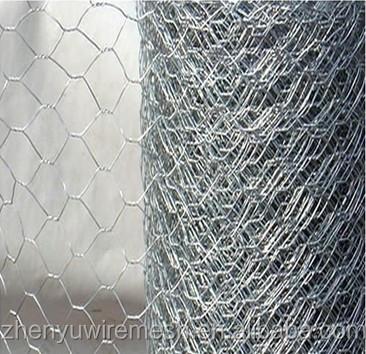 China Taiwan Hexagonal Chicken Triple Twist Wire Rack Hot Dipped Galvanized Wire Rack Heating Rolls For Aviary And Pets Wholesale for sale