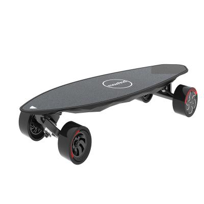 China Double Motor Cheap Adult Waterproof Electric Skate Board Off Road Remote Control Electric Skateboard for sale