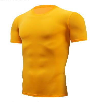 China Wholesale Bulk Anti-pilling Mesh Promotional Cheap Promotional Slim Fitted 100% Polyester Anti-pilling Microfiber Print Quick Dry T-shirt for sale