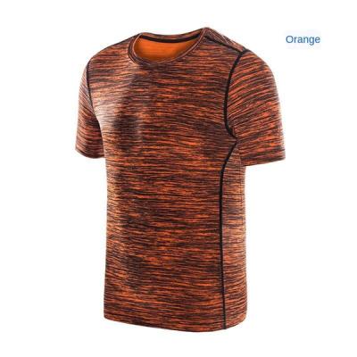 China Gymnasium 2021 new arrival fashion men's anti-pilling design anti-pilling T-shirt for sale