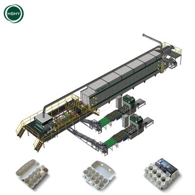 China Factory Hghy Rice Husk Egg Box Biodegradable Hot Press Tray Crate Carton Making Machine Sugar Cane Pulp Paper Packaging Machine for sale