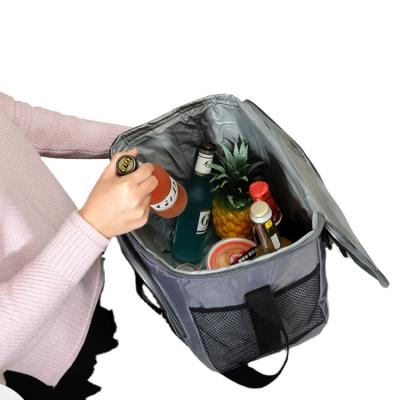 China Waterproof Large Cooler Bag Waterproof Insulated Soft Picnic Lunch Cooling Tote Custom LOGO Oxford For Adult Women Men Food for sale