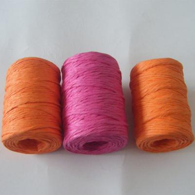 China Furniture 2mm Twisted Twine Colored Paper Twine for sale