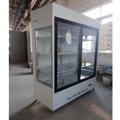 Chine Vitrine Écran végétal Congélateur économe en énergie Fruit Écran commercial Chiller à vendre