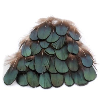 China Wholesale Cheap Natural Pheasant Decoration Feather Material Feather Green Feather Material Decoration Feather Beautiful Tied For Party Costume Dress Skirt for sale