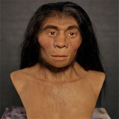 China Primitive Stone Age Man Wax Figure China Silicone Bust for sale