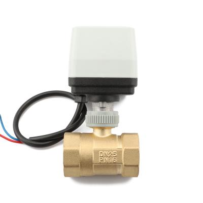 China Kitchen AC/DC 12V AC/DC 24v Electric Control Home Trigger with 1 Inch Two Way Electric Brass Ball Valve for sale