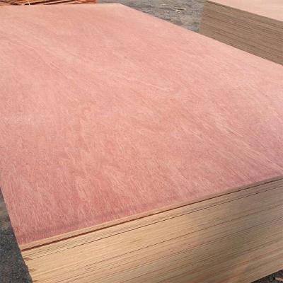 China Commercial Bintangor Plywood Wholesale Factory Directly Sale Modern Use Plywood Furniture for sale