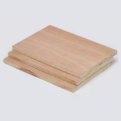 China 1220*2440*15mm Commercial Poplar Core Modern Bintangor Plywood Formwork Construction Plywood for sale