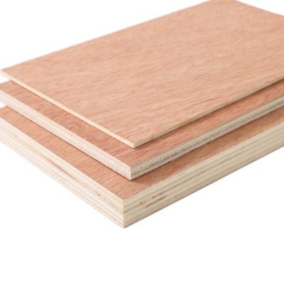 China Modern Okoume Bintangor Faced Poplar Plywood Okoume Birch Veneered Commercial Plywood for sale