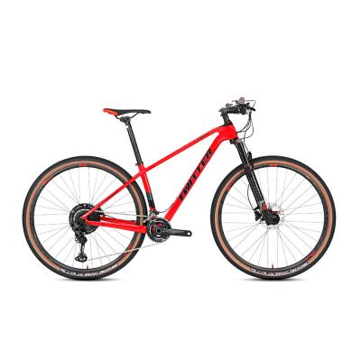 China SRAM SX 12S Carbon Fiber Mountain Bike for sale