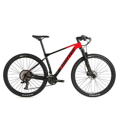 China PREDATOR Pro 29er Carbon Fiber Mountain Bike 13 Speed Mtb for sale