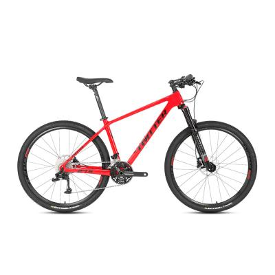 China 29er Carbon Fiber Mountain Bike for sale