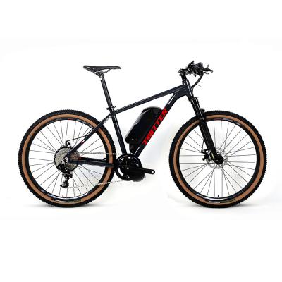 중국 SRAM NX 11 속도 48V 전기 산악 자전거 750W 바팽 모터 판매용