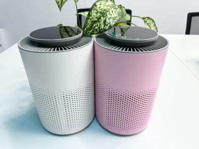 China 6W Electronic Low Noise Air Purifier with Timer in ABS for sale