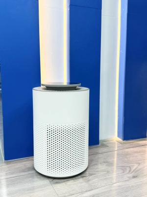 China White HC10 Air Purifier with HEPA Filter Sleek and Powerful Odor Elimination for sale