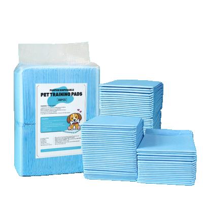 China Sustainable Breathable Outdoor Dog Pee Potty Training Pet Care Cheap Biodegradable Training Pad for sale