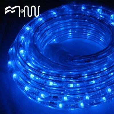 China Desktop RGB Strips Rope Light Plastic Indoor Led Landscape Light for sale