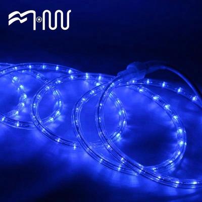 China Thick Outer Skin Finely Processed Waterproof Outdoor Led Strip Light Rope Light for sale