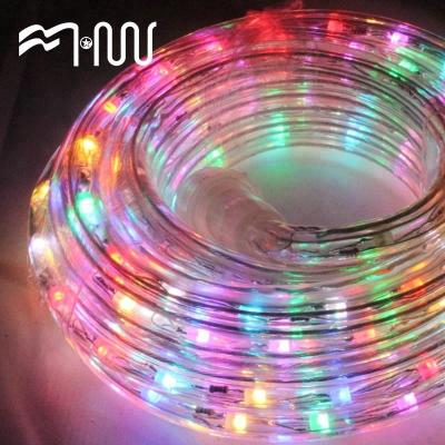 China Plastic Sports Stadiums RGB Christmas Led Outdoor Strip Light For Theme Park for sale