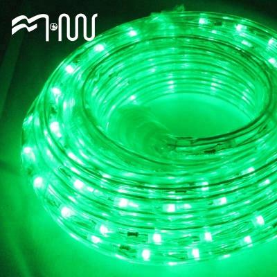 China Plastic Outdoor LANDSCAPE RGB Festival Led Strip Light Rope Light Water Tube Light for sale