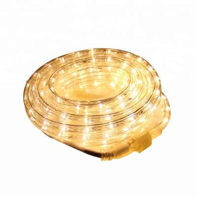 China High quality theme park plastic cheap led string light for sale for sale