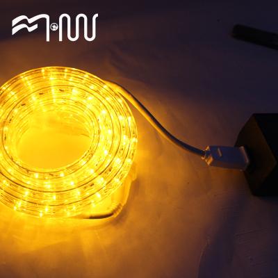 China Promotional Plastic Outdoor Led LANDSCAPE Rope Light Lamp for sale