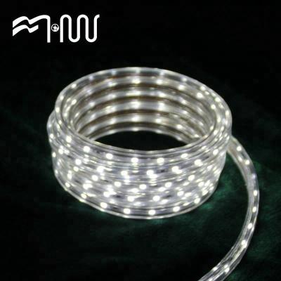 China Outdoor hotel insulated festival decoration smd led light for sale