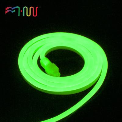 China Theme Park Neon King Neon Lamp LED Flexible Strip Light 120 Led /m Length Can Customize For Garden 5050/2835 ETL Certification for sale