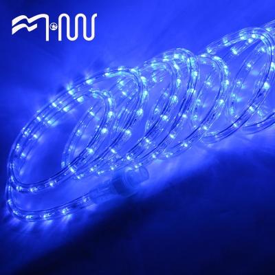 China LANDSCAPE White Color Led Changeable Rope Light Color For Home Decoration Amazon Popular Circular Two Wire Rope Light for sale