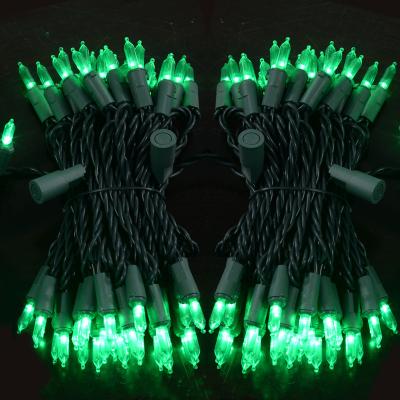 China Garden Skillful Workmanship Indoor Outdoor Led String Light for sale