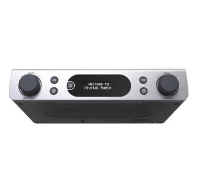 China Under-mounted DAB/DAB Kitchen Cabinet Radio with BT 5.0 Speaker and LOGO OEM Support for sale