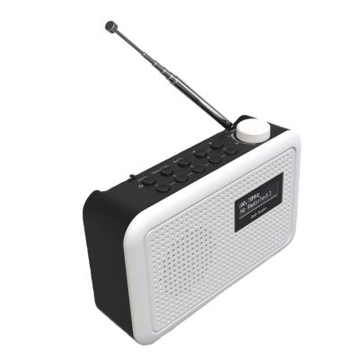 China Bluetooths DAB FM Portable Radio Digital Fm Tuner High Sensitive for sale