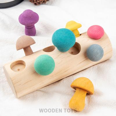 China Montessori Educational Wooden Rainbow Colorful Mushroom Shape Matching Blocks Early Learning Educational Toys Assembly Plug Training for sale