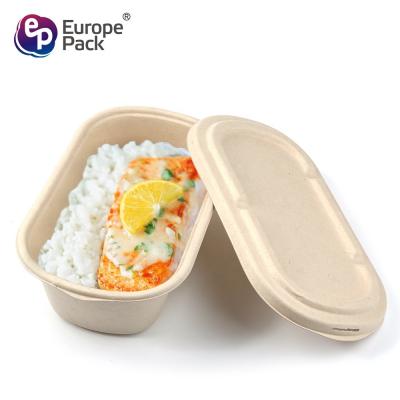 China Customized High Quality 100% biodegradable paper pulp takeaway food container lunch box for sale